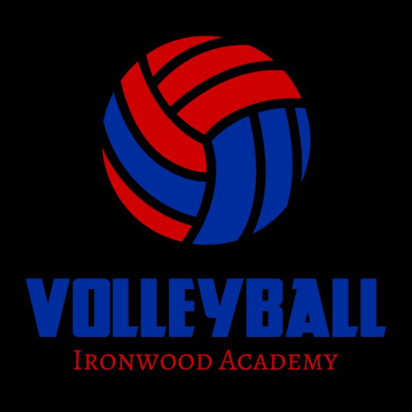 Volleyball 42 Miniatura