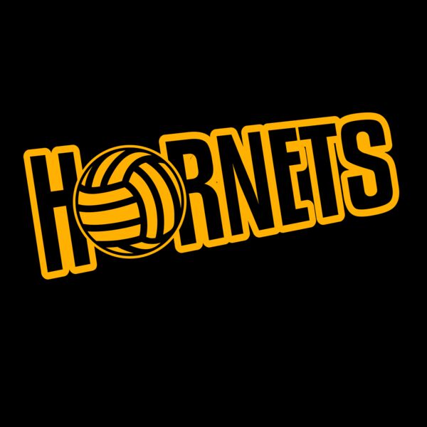 Volleyball 60 Miniatura